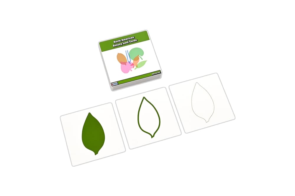 North American Botany Leaf Cards