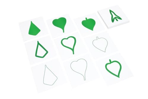 Botany Leaf Cards for Leaf Cabinet (PQ)