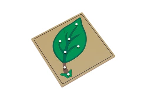 Leaf Parts Puzzle and Nomenclature Cards 3-6 (PQ)