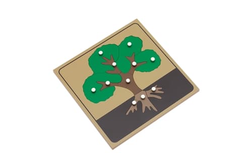 Tree Parts Puzzle and Nomenclature Cards 3-6 (PQ)