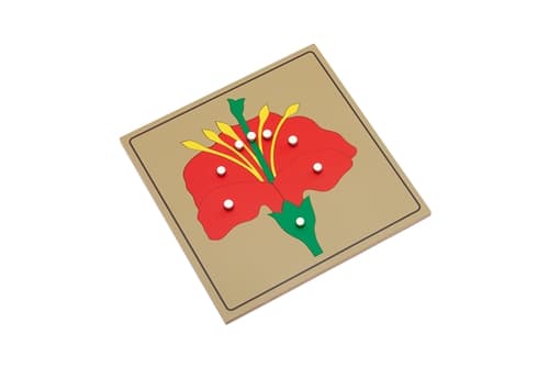 Flower Parts Puzzle and Nomenclature Cards 3-6 PQ