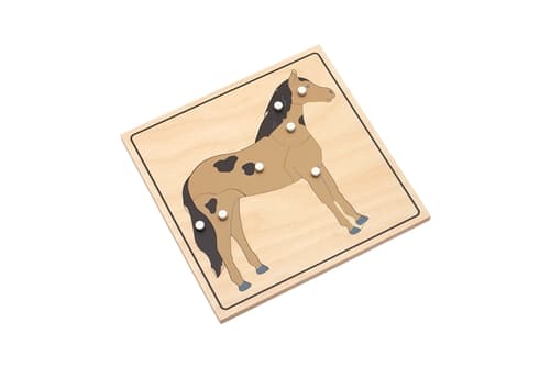 Parts of a Horse Puzzle (Premium Quality)