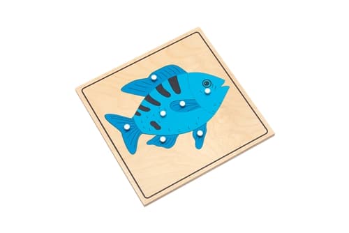 Fish Parts Puzzle - Complete Set (PQ)