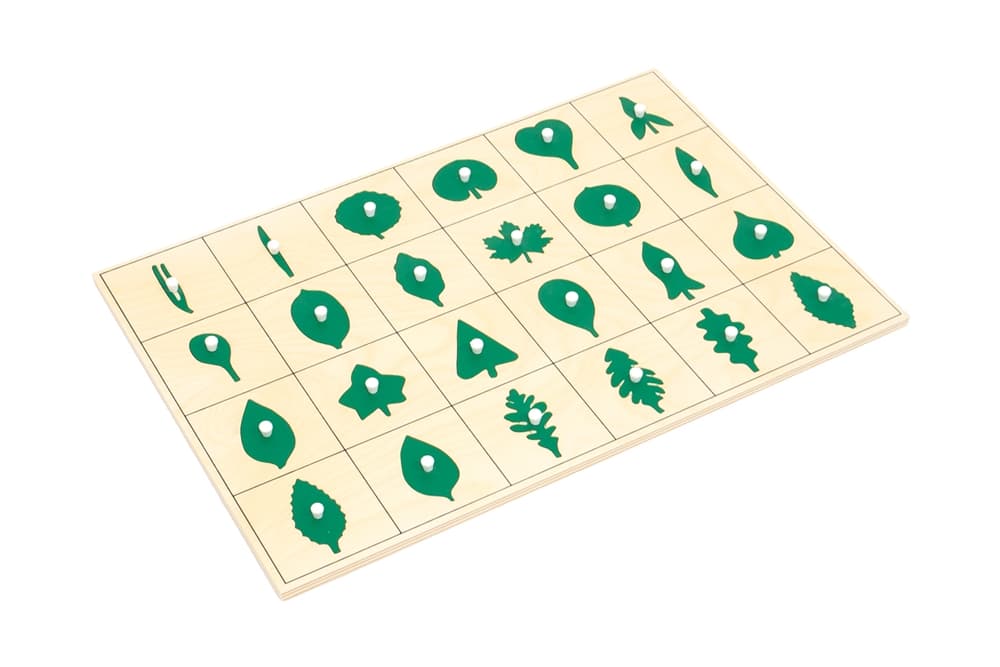 North American Botany Leaf Puzzle (PQ)