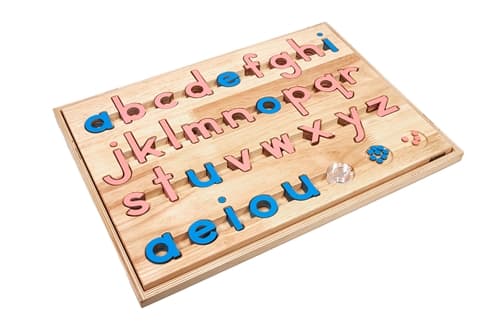 Small Movable Alphabet: Pink & Blue CB (PQ)