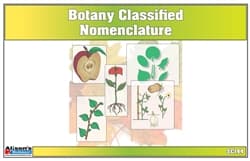Lower Elementary Botany Nomenclature Cards