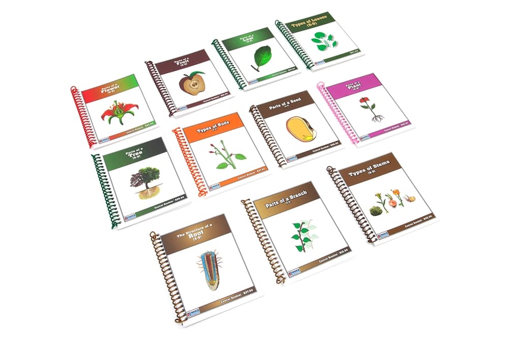 11 Lower Elementary Botany Booklets
