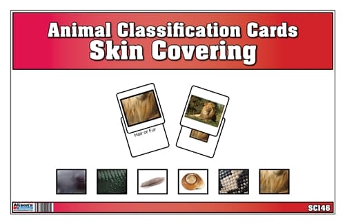 Animal Classification Cards - Skin Covering