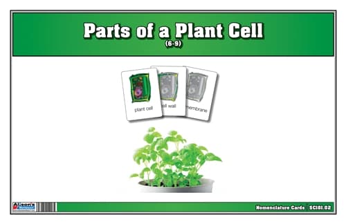 Parts of a Plant Cell Nomenclature Cards 6-9