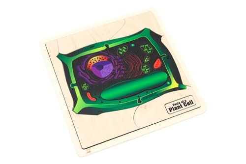 Parts of a Plant Cell Puzzle and Cards (6-9)