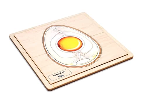 Parts of an Egg Puzzle and Cards (3-6)