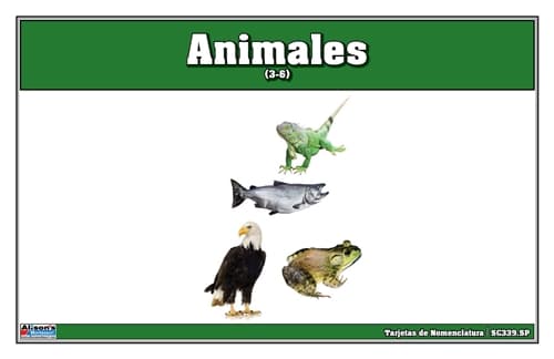 Tarjetas de Nomenclatura de Animales
