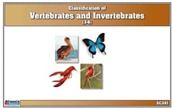 Animal Types: Vertebrate/Invertebrate