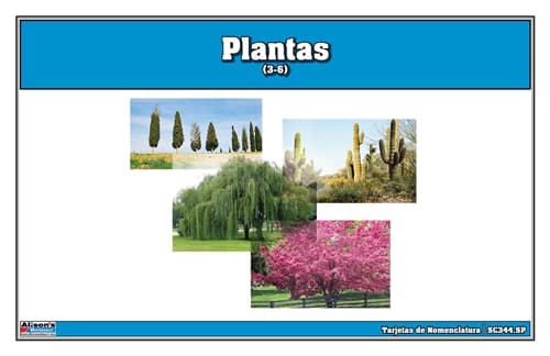 Tarjetas de Nomenclatura de Plantas