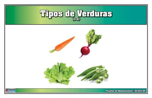 Tipos de Verduras – Tarjetas de Nomenclatura