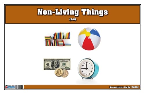 Non-Living Things Nomenclature Cards