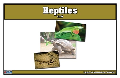 Tarjetas de Nomenclatura de Reptiles
