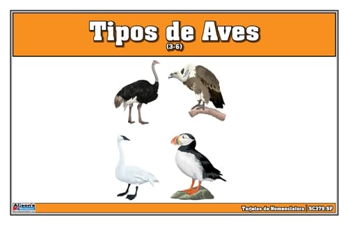 Tipos de Aves Laminate & Cut