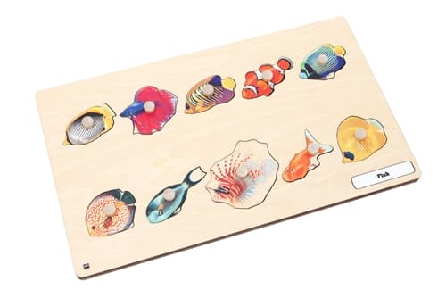 Types of Fish Puzzle