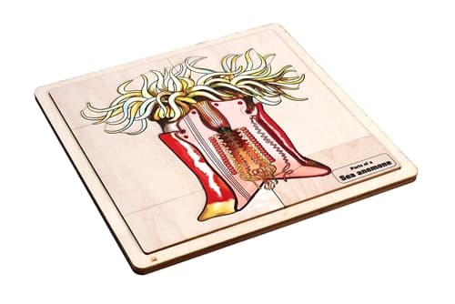 Parts of a Sea Anemone Puzzle and Cards (6-9)