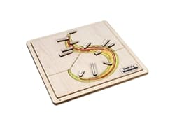 Parts of a Nematode Puzzle and Cards (6-9)
