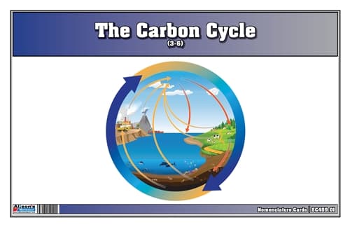 The Carbon Cycle Nomenclature Cards (3-6)