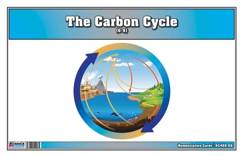 The Carbon Cycle Nomenclature Cards (6-9)