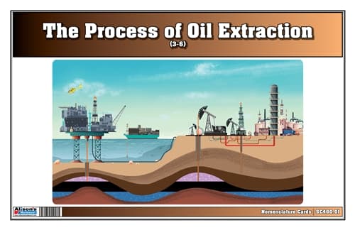 Oil Extraction – Nomenclature Cards (Ages 3–6)