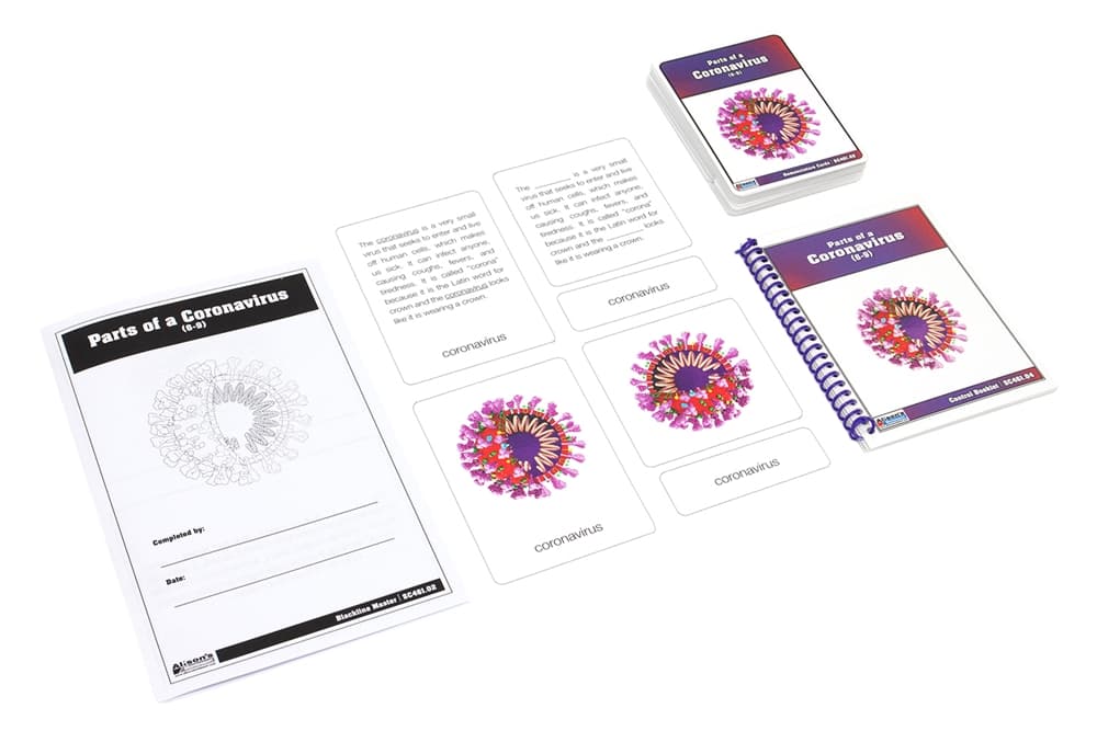 Parts of Coronavirus – Cards (Ages 6–9)
