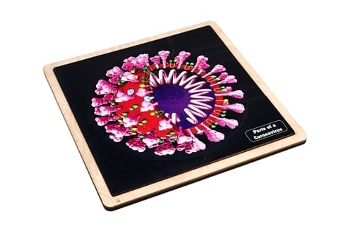 Parts of a Coronavirus Puzzle and Cards (3-6)