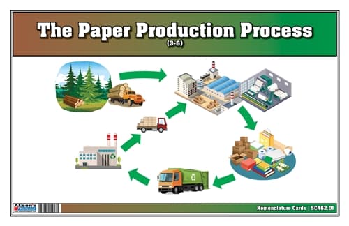 Paper Production Process – Cards for Ages 3–6