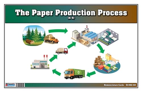 Paper Production Process – Cards for Ages 6–9
