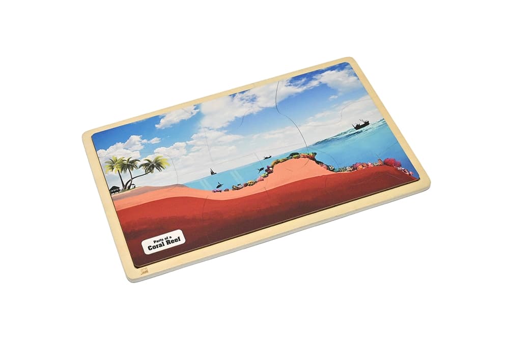 Parts of a Coral Reef Puzzle