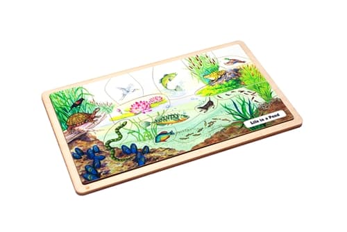 Life in a Pond Puzzle