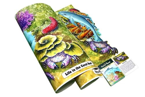 Life in the Coral Reef Chart (Complete Set)
