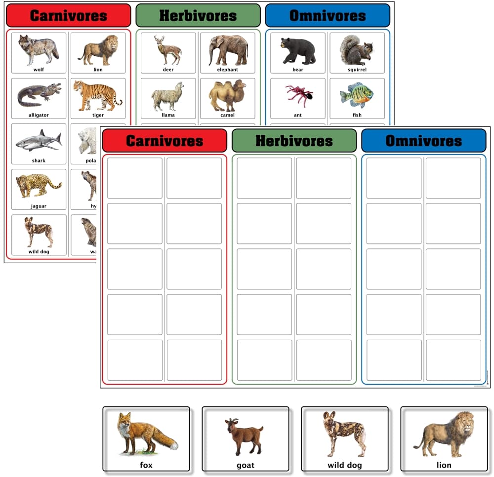 Carnivores, Herbivores, and Omnivores set
