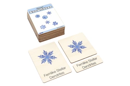 Snowflake Types – Wooden Cards (Ages 3–6)