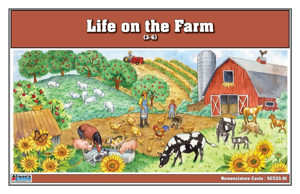 Life on the Farm Nomenclature Cards 3-6 (Printed)