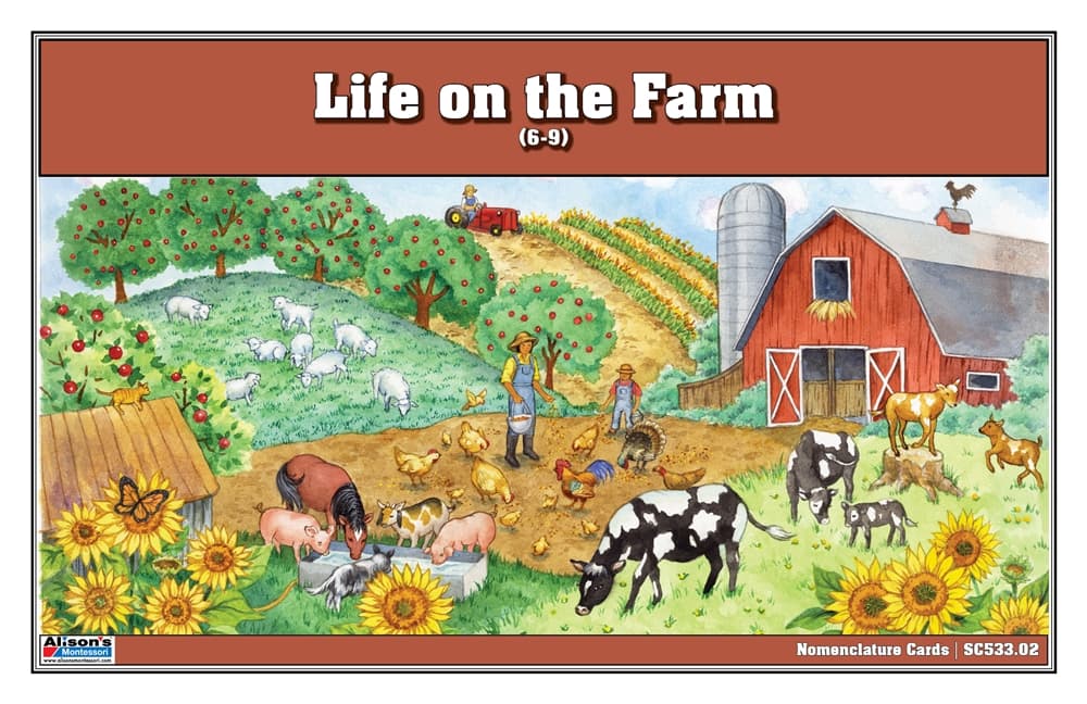 Life on the Farm Nomenclature Cards 6-9 (Printed)