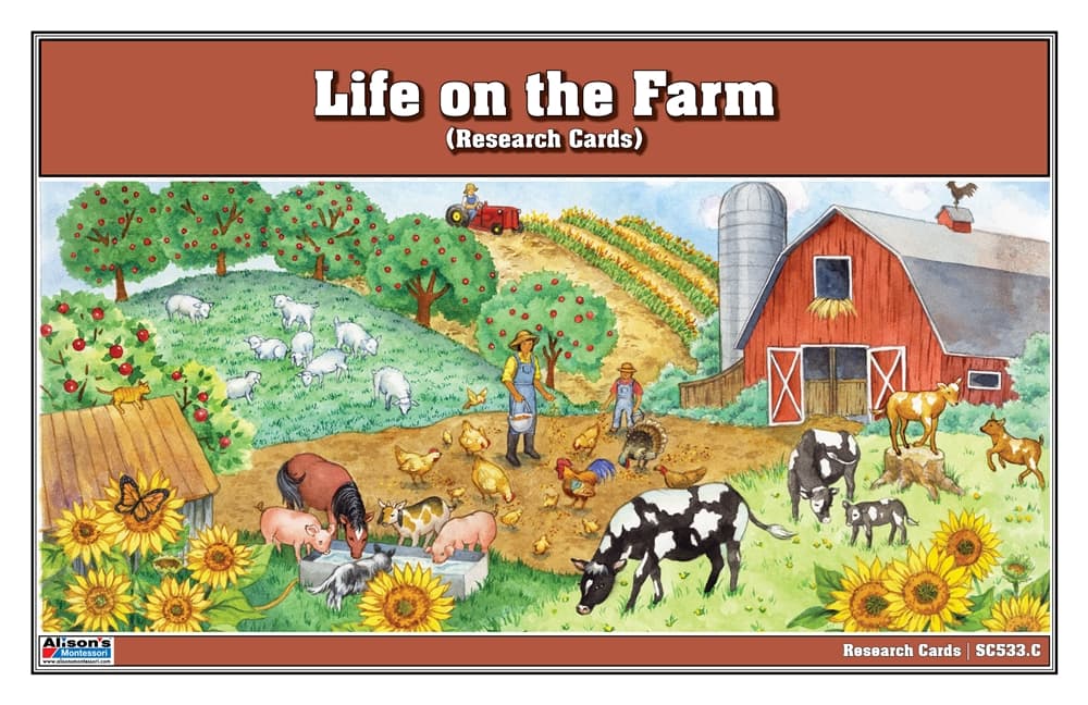 Life on the Farm Research Cards