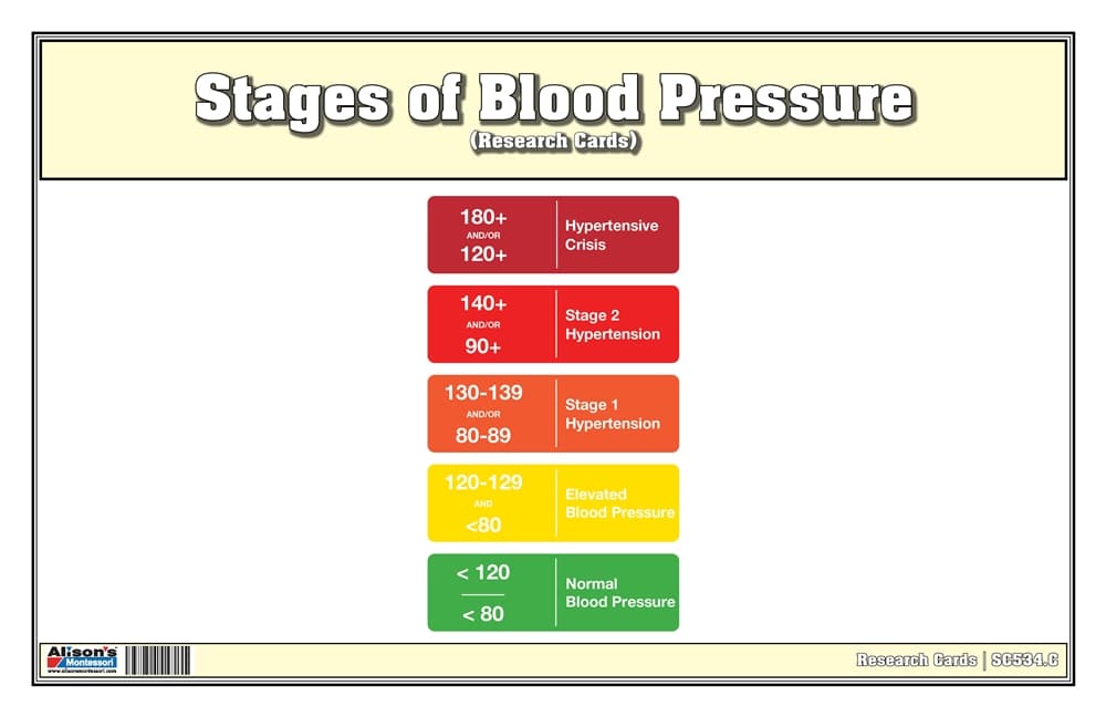Stages of Blood Pressure Research Cards