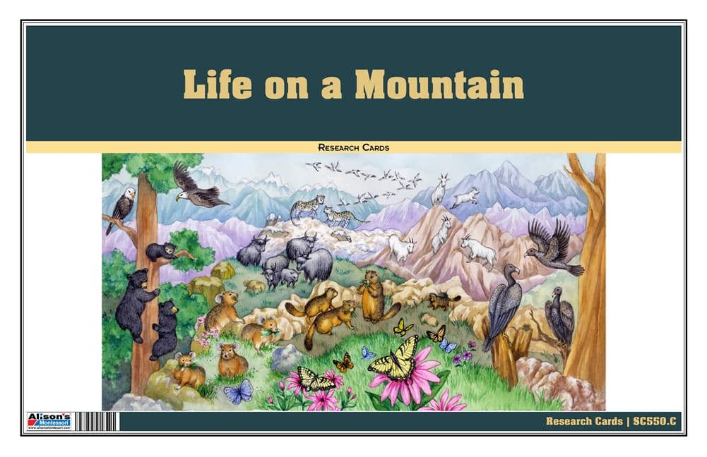 Life on a Mountain Research Cards