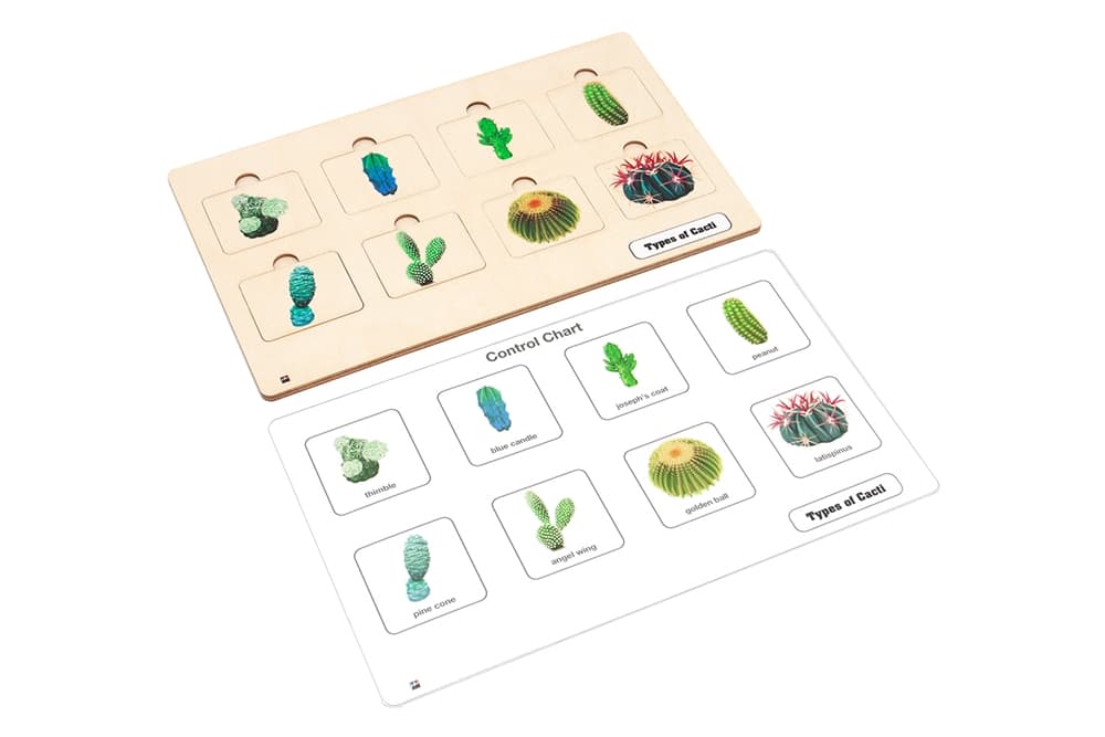 Types of Cacti Puzzle