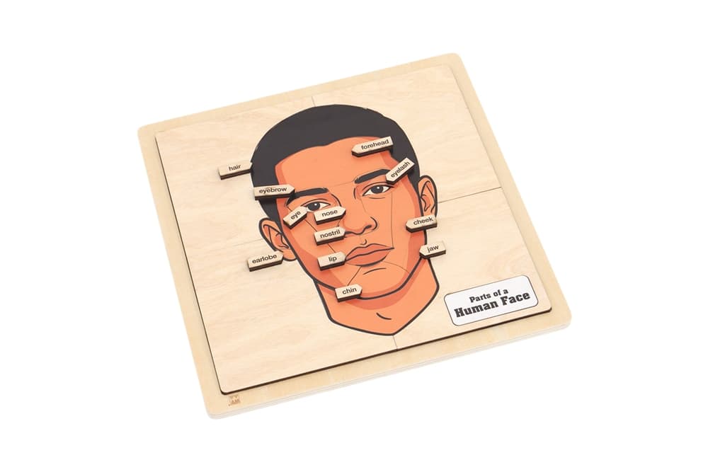 Parts of a Human Face Puzzle