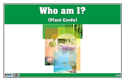 Who am I? Plant Cards
