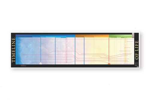 Timeline of Life: Mute Chart (Printed on Cloth)