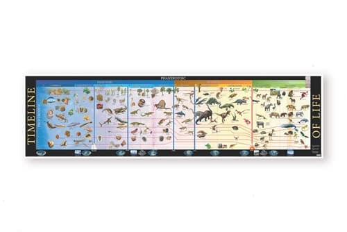 Timeline of Life Complete Set