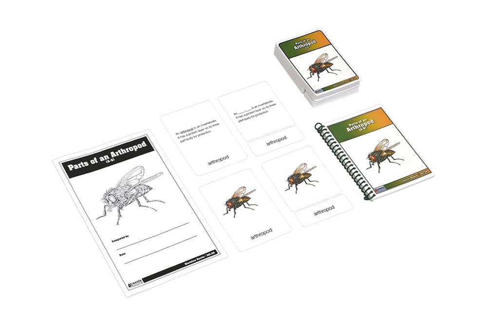 Arthropod Parts – Nomenclature Cards (6–9)