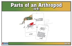 Arthropod Parts – Nomenclature Cards (6–9)