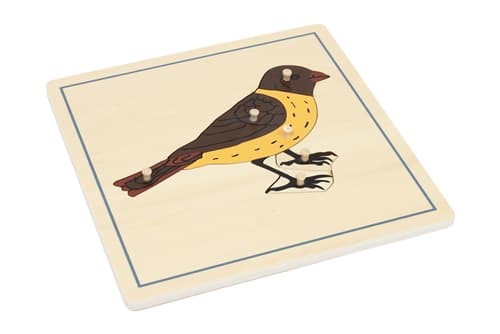 Parts of a Bird Puzzle and Cards (3-6) (Printed)